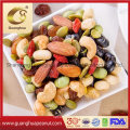 Health Popular Food Mix Nuts